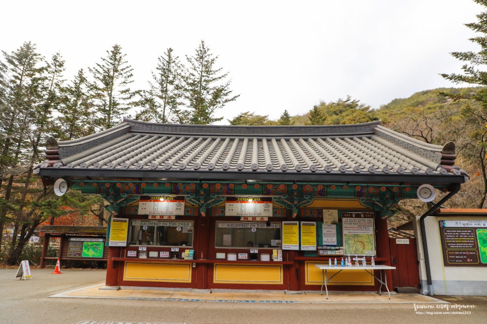 충북 보은 가볼만한곳 속리산 법주사 국립공원 말티재 전망대 세조길