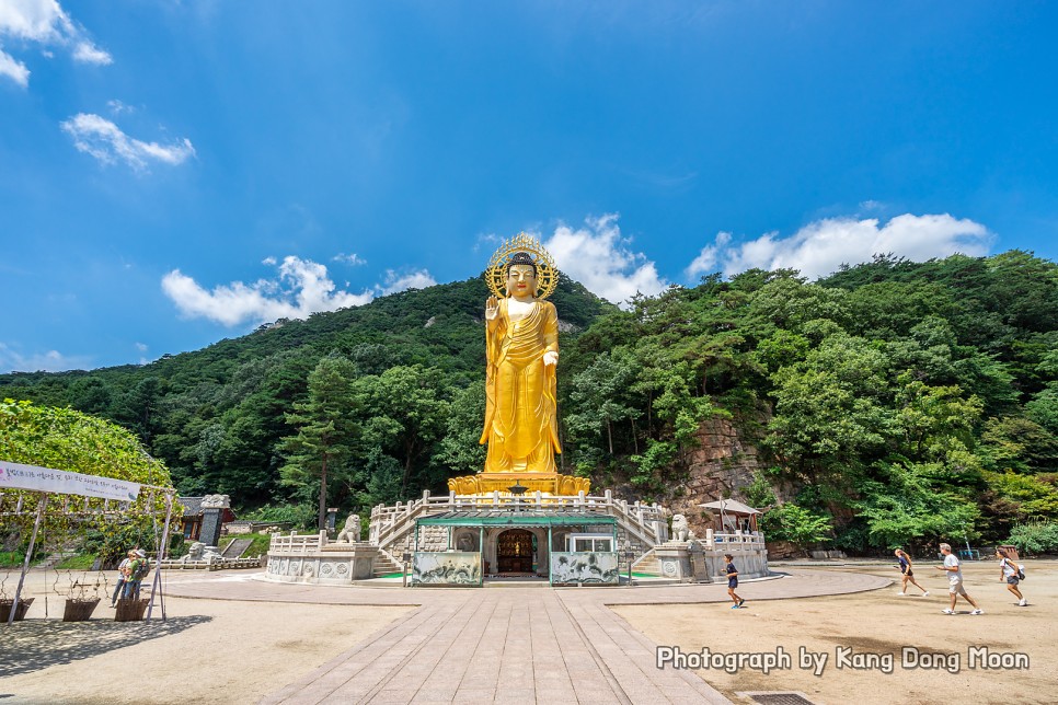 충북 가볼만한곳 여름 국내 여행지 추천 보은 속리산 법주사 충청도 여행