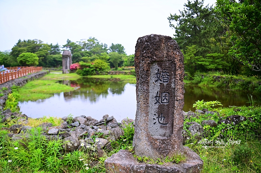 제주도 가볼만한곳 여름휴가는 제주동부권관광지 에코랜드 민속촌으로