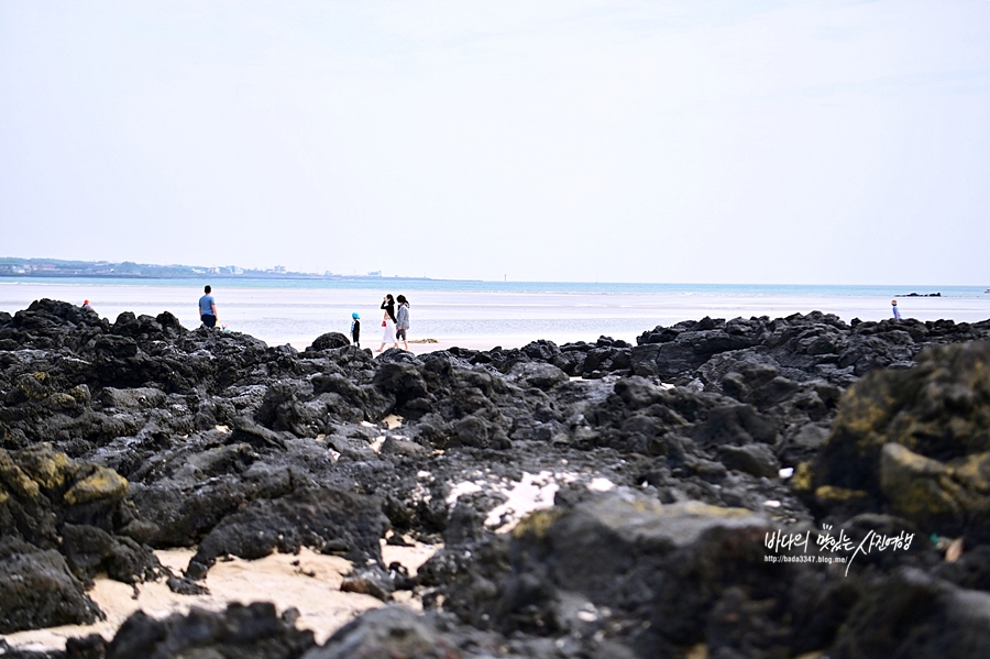 제주도 가볼만한곳 여름휴가는 제주동부권관광지 에코랜드 민속촌으로