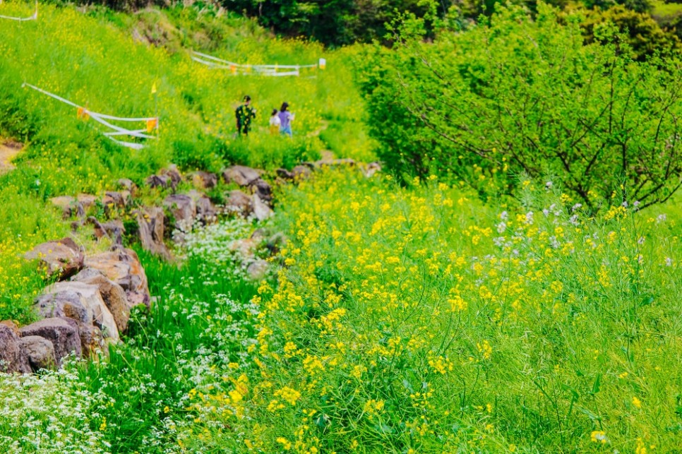 아고다 7월 할인코드 전세계 호텔 할인 받기