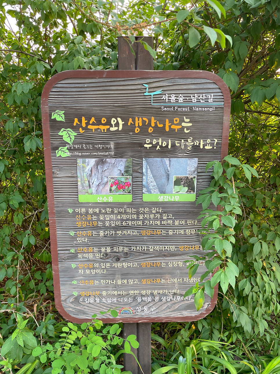 서울 응봉산 팔각정 산책 놀이터, 주차장