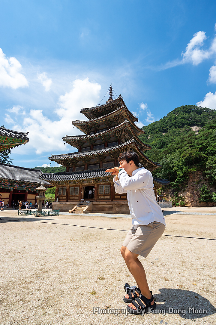 충북 가볼만한곳 여름 국내 여행지 추천 보은 속리산 법주사 충청도 여행