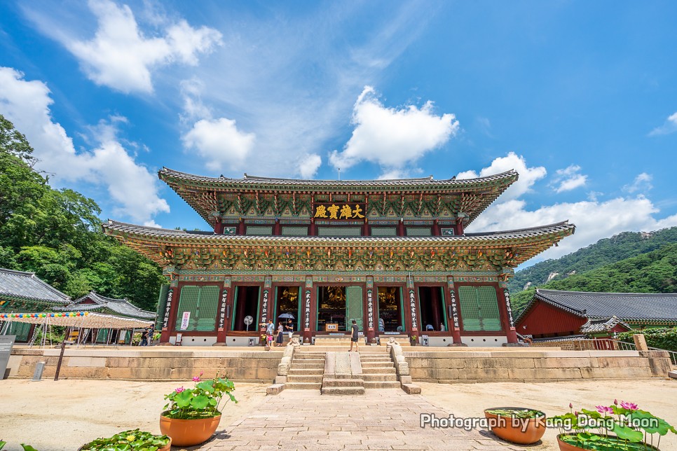 충북 가볼만한곳 여름 국내 여행지 추천 보은 속리산 법주사 충청도 여행