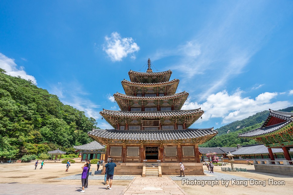 충북 가볼만한곳 여름 국내 여행지 추천 보은 속리산 법주사 충청도 여행