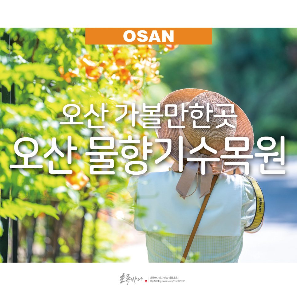 서울근교 당일치기 여행 경기도 데이트 코스 오산 물향기수목원