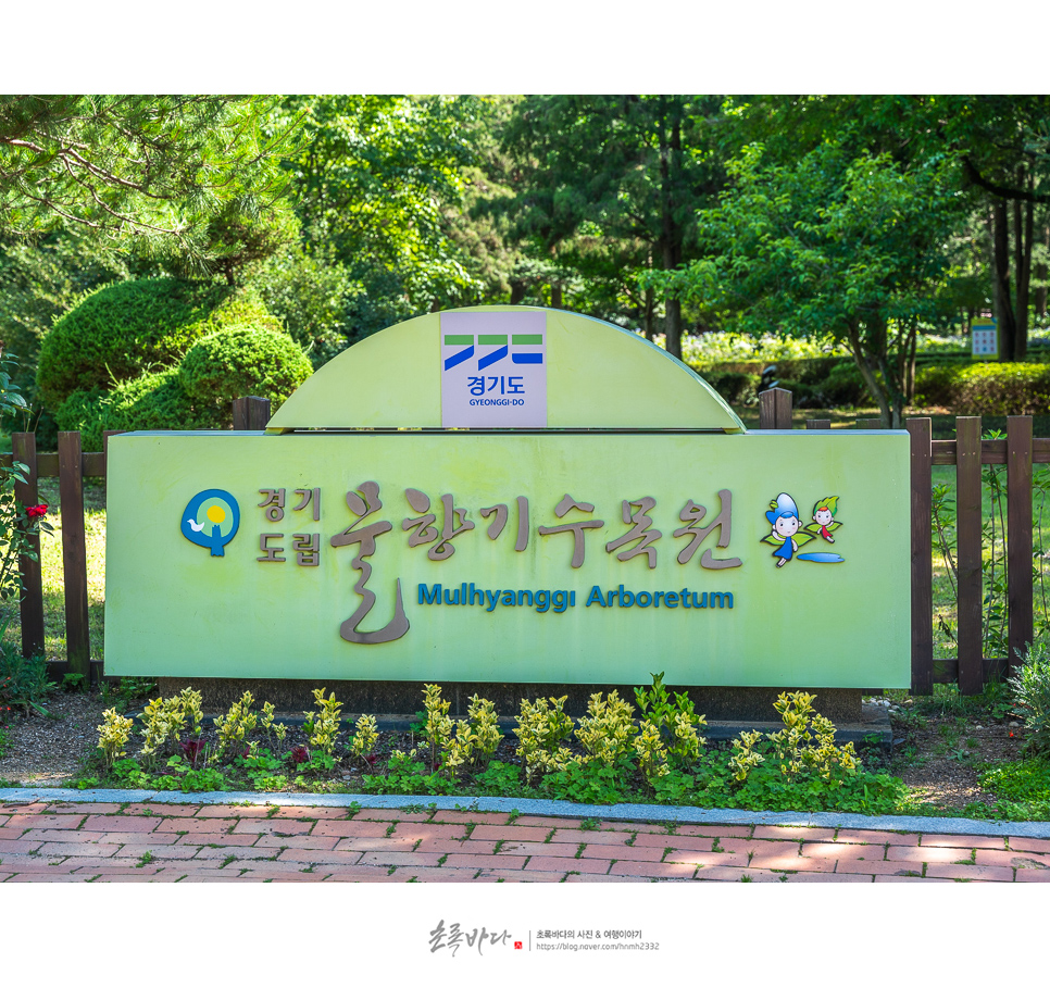 서울근교 당일치기 여행 경기도 데이트 코스 오산 물향기수목원