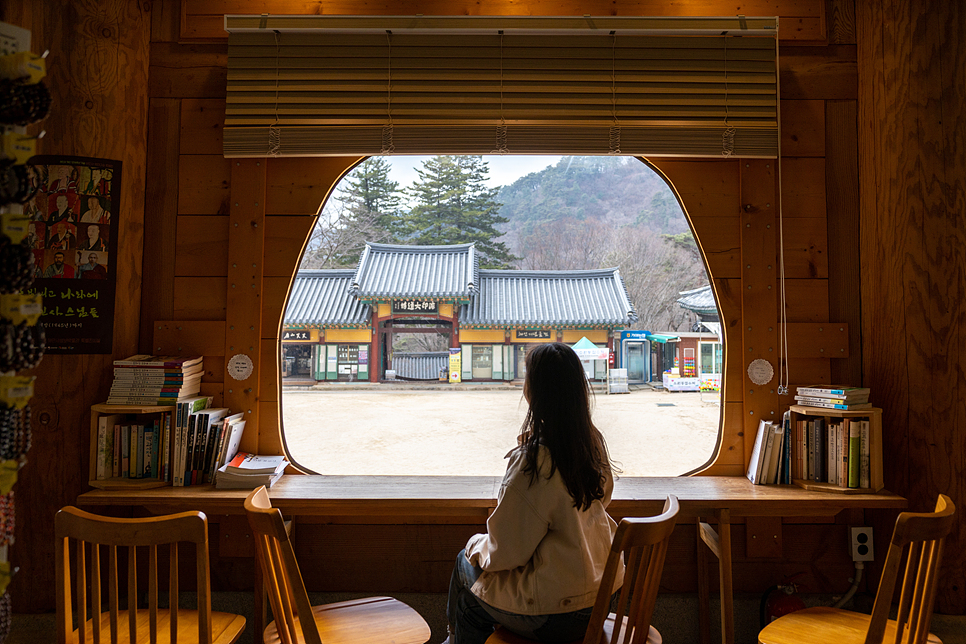 부산 근교 가볼만한곳 경남 합천 여행 코스