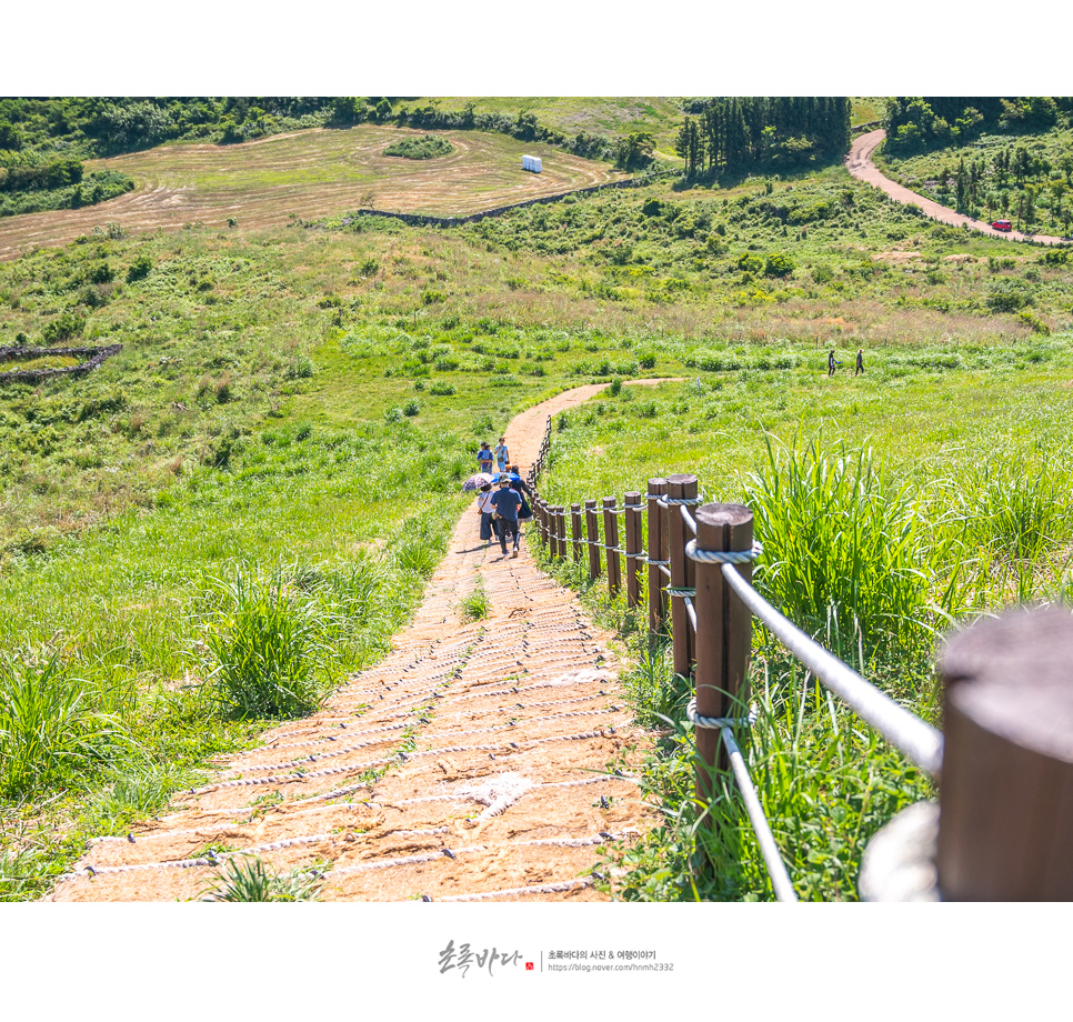 제주 새별오름 제주도 오름 추천 제주시 위치~