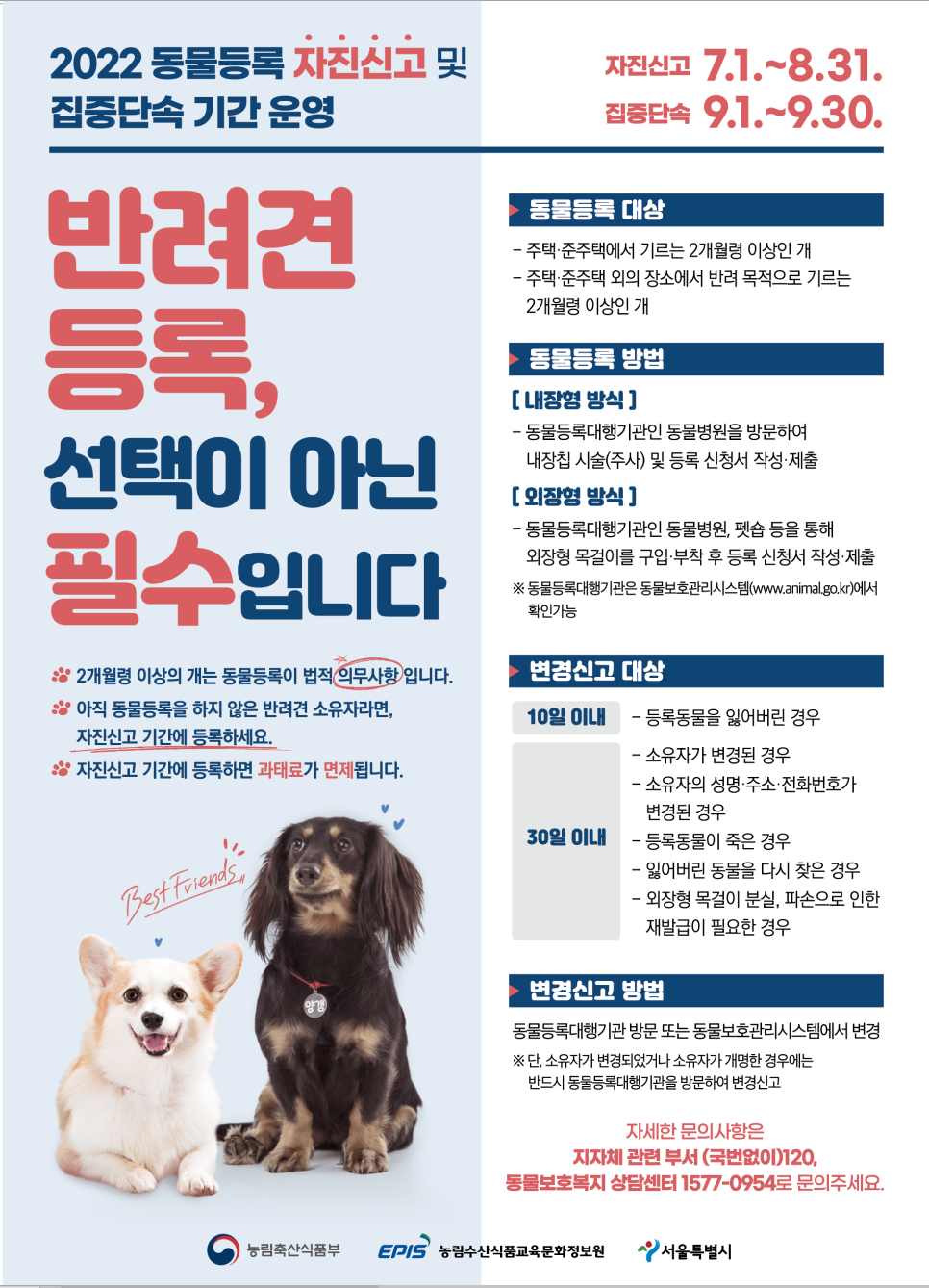 서울시 반려동물등록 자진신고 기간 및 맹견 관리규정 과태료 알아보기