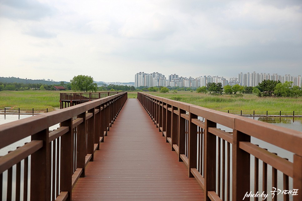 주말 인천 갈만한곳 소래습지생태공원 인천 자전거길 산책로