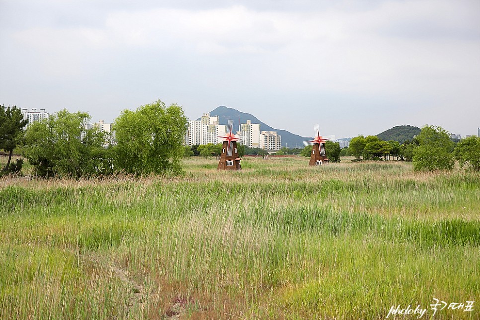 주말 인천 갈만한곳 소래습지생태공원 인천 자전거길 산책로