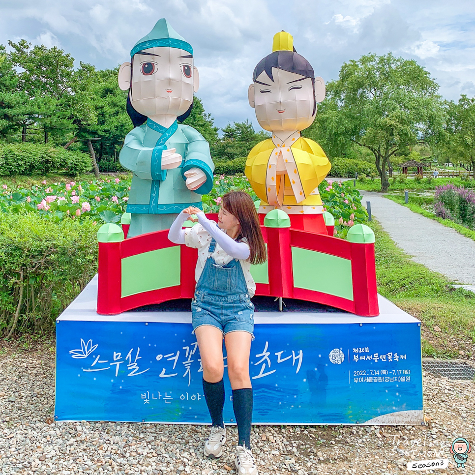 부여 핫플레이스 서동연꽃축제 열리는 부여관광지 궁남지