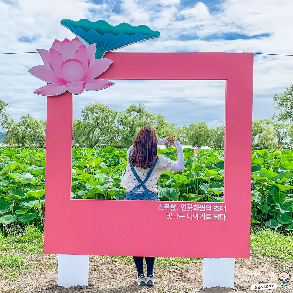 부여 핫플레이스 서동연꽃축제 열리는 부여관광지 궁남지