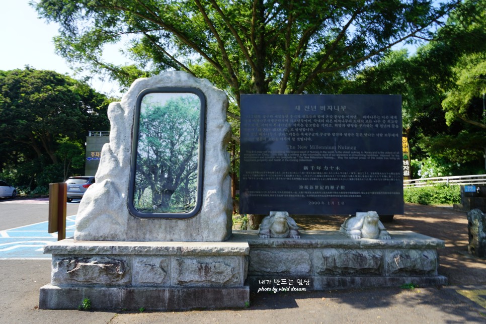 제주 여름 여행코스 비자림 신양섭지해수욕장 특별했던 랍스타