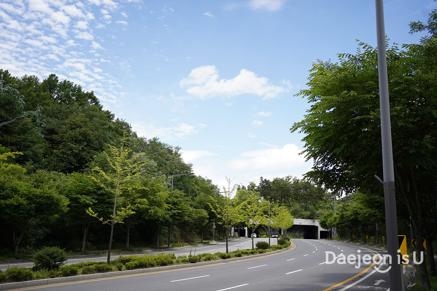 아이도 어른도 좋아할 도안유아숲체험원 가는 길