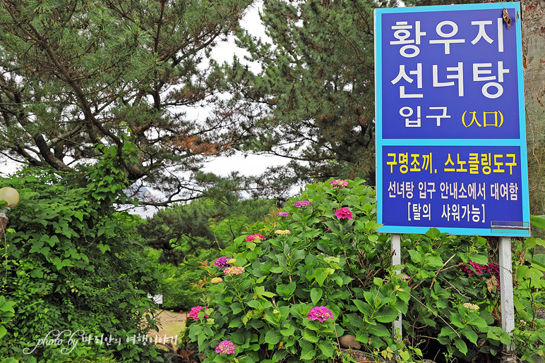 7월에 제주 가볼만한곳 여름 제주도 외돌개 황우지 선녀탕