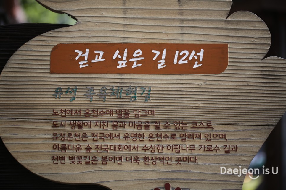도심 속 쉼, 대전에서 걷기 좋은 황톳길 2곳
