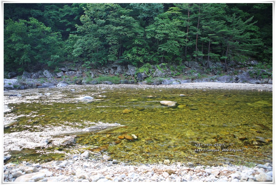 강원도 양양 펜션 법수치계곡 법수산장 단체펜션