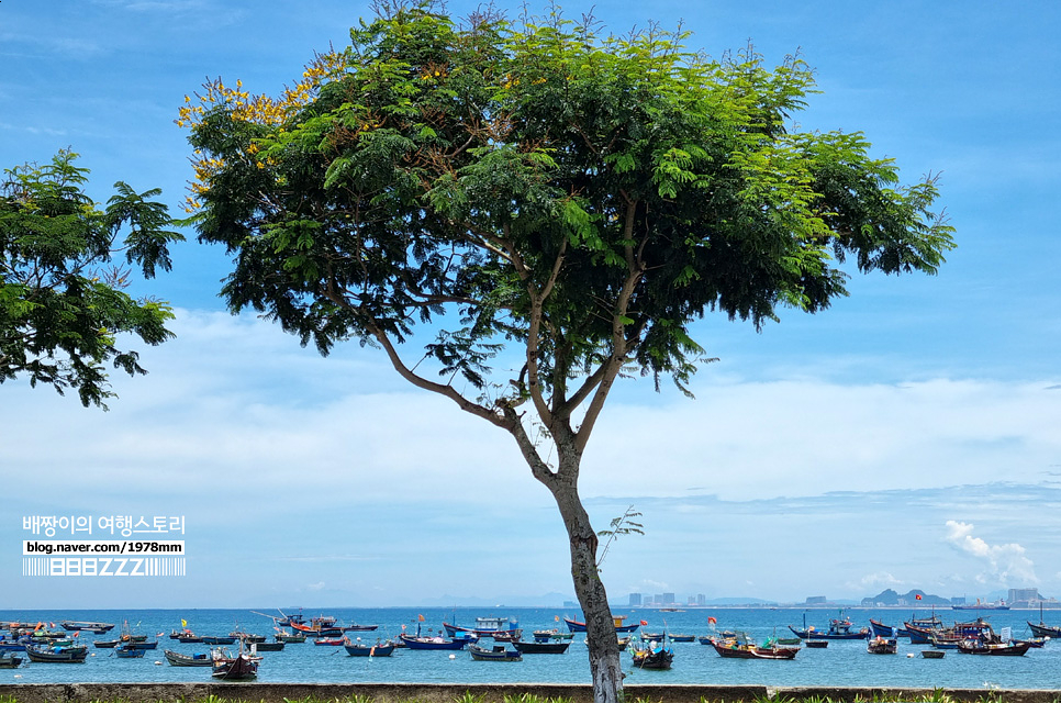 다낭자유여행 코코넛배 풍경 처음이지? 어촌마을 로컬카페 베트남한달살기