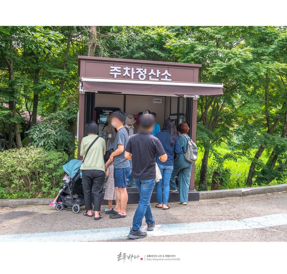 포천 아이와 가볼만한곳 포천 국립수목원 광릉 수목원 광릉숲길