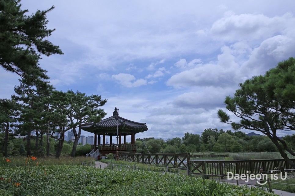 대전 가볼 만한 곳_풍경이 예쁜 한밭수목원 나들이