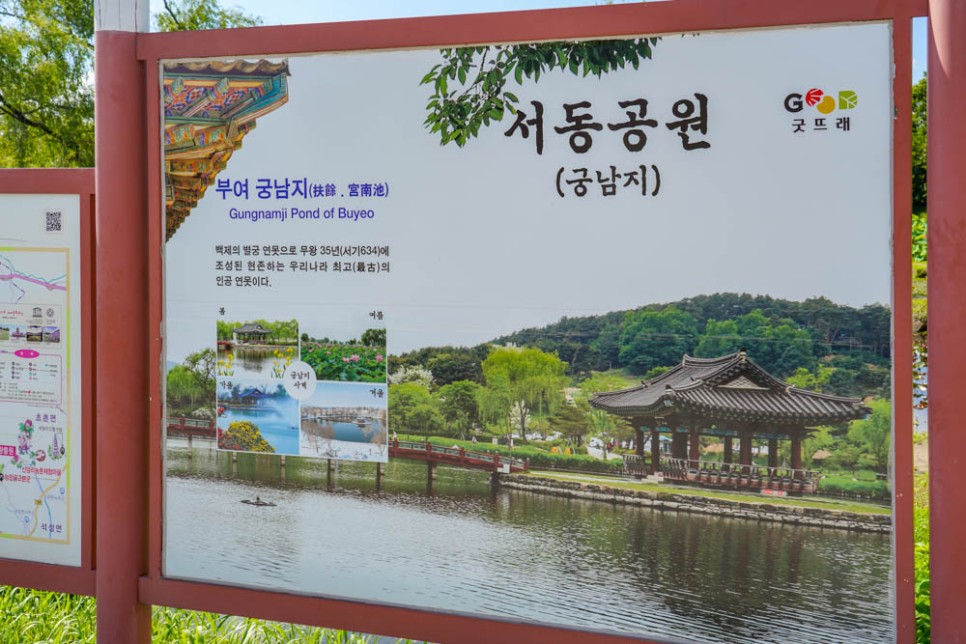 부여 가볼만한곳 궁남지 서동연꽃축제 부여 관광지 7월 꽃축제