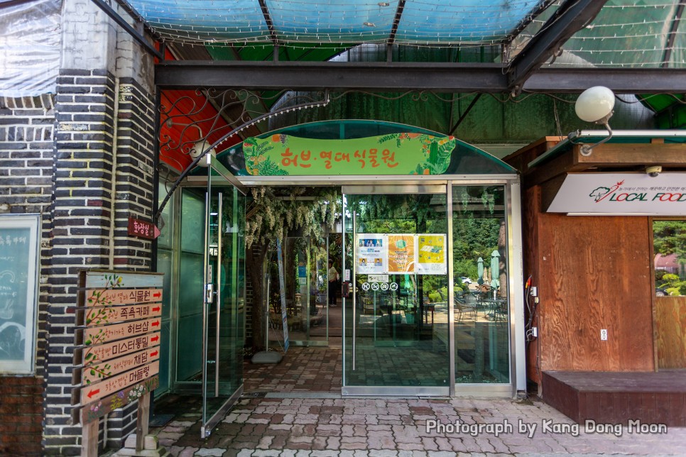 대전 근교 여행 충청도 충남 가볼만한곳 드라이브 코스 금산 하늘물빛정원