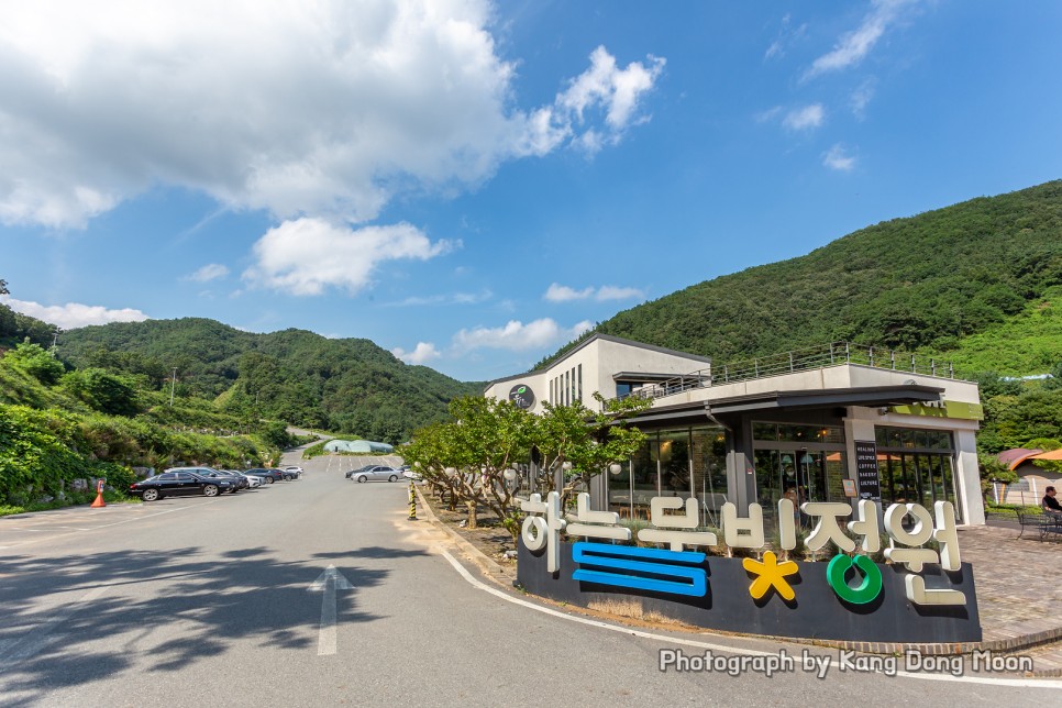 대전 근교 여행 충청도 충남 가볼만한곳 드라이브 코스 금산 하늘물빛정원