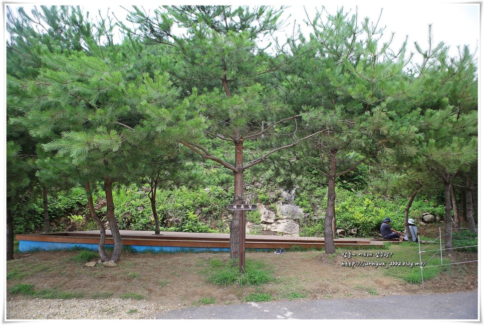 전라남도 가볼만한곳 보성 윤제림,율포해수욕장,월곡영화골벽화마을