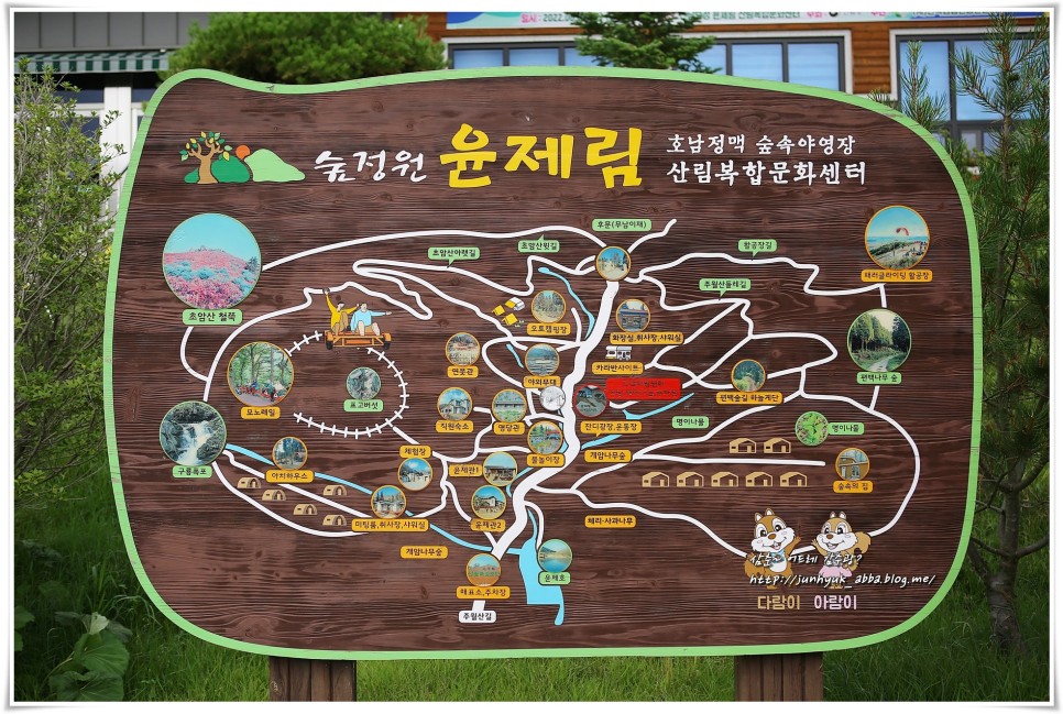 전라남도 가볼만한곳 보성 윤제림,율포해수욕장,월곡영화골벽화마을