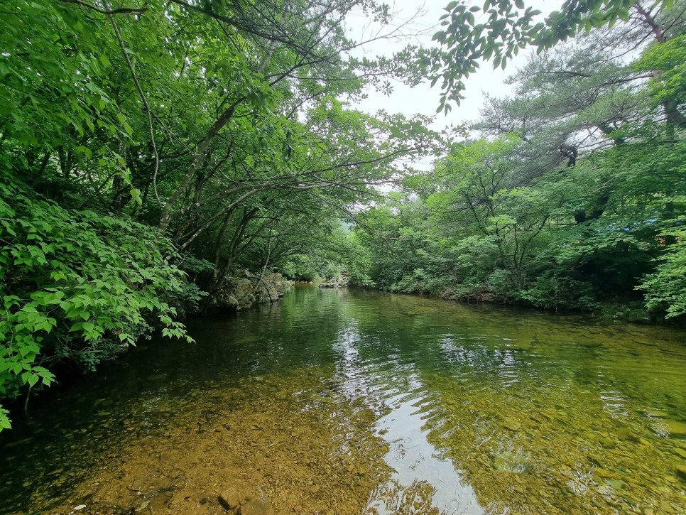 충청도 계곡 보은 만수계곡 수심깊은 시크릿 포인트