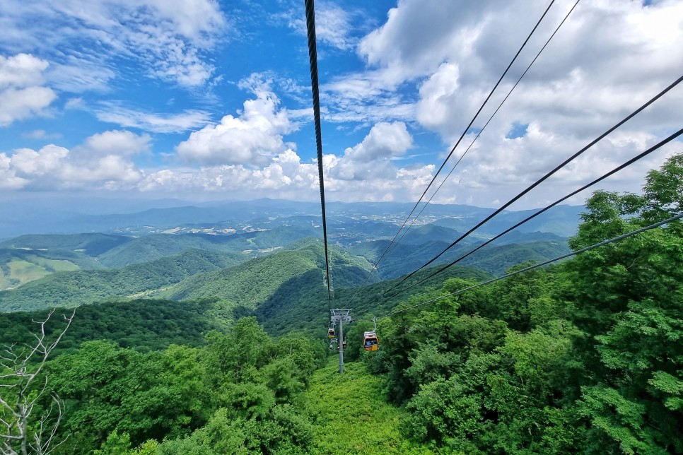 강원도 여행 평창 모나파크 용평리조트 발왕산 천년주목숲길