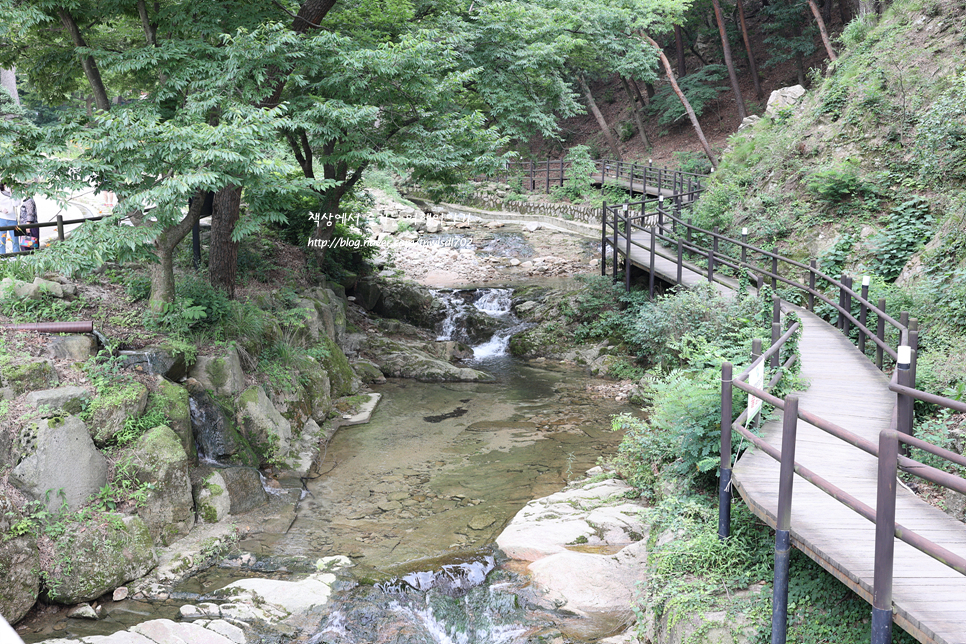 서울계곡 추천 은평구 진관사계곡 물놀이 위치,주차