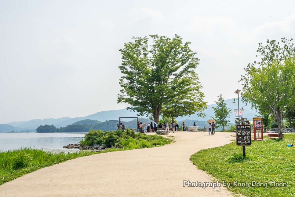 서울 근교 가볼만한곳 데이트 코스 여행 포천 국립수목원 양평 두물머리 선택은?