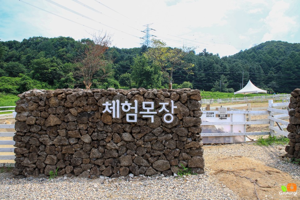 경기도 가평 가볼만한곳 아이와 가평 양떼목장 동물원 서울근교 여행