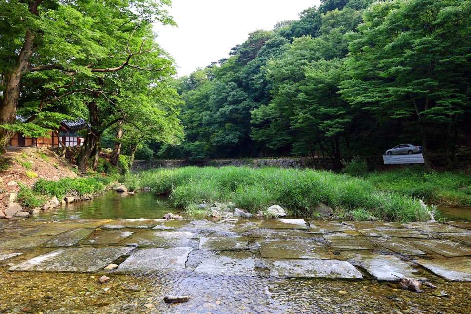 공주 가볼만한곳 여행 코스 10 대전 근교 나들이