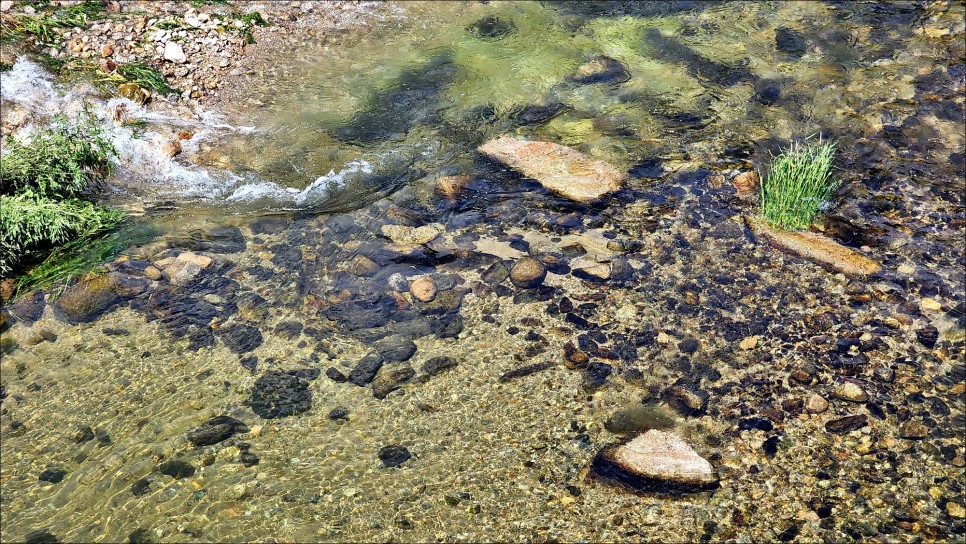 단양 가볼만한곳 여름 휴가지 사인암 계곡 물놀이 단양여행코스!