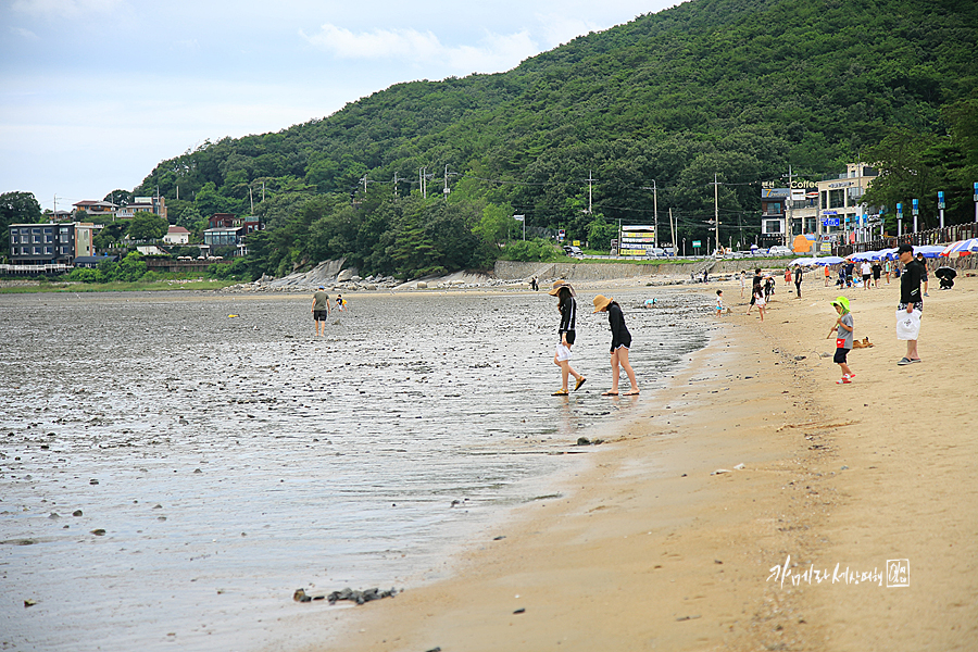 인천 강화도 동막해수욕장  동막 해변 갯벌체험