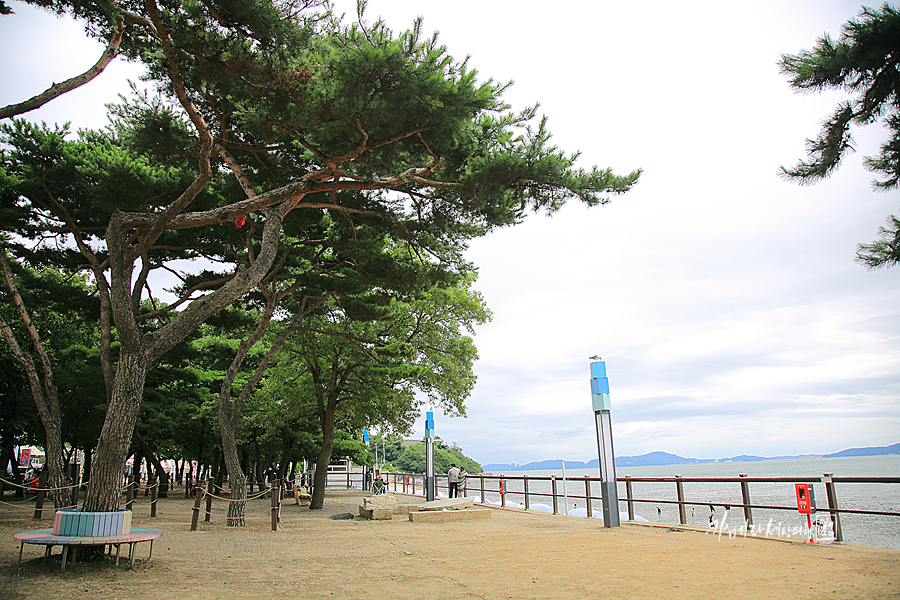 인천 강화도 동막해수욕장  동막 해변 갯벌체험