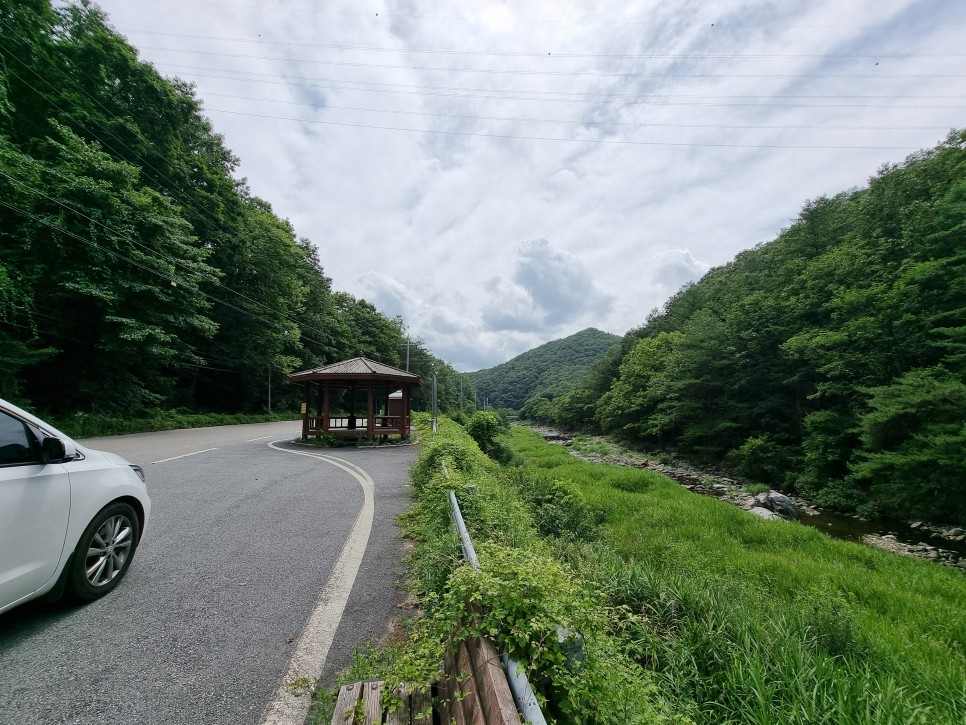 대전 근교 계곡 추천 영동 물한계곡 수심 깊은 포인트는 어디?