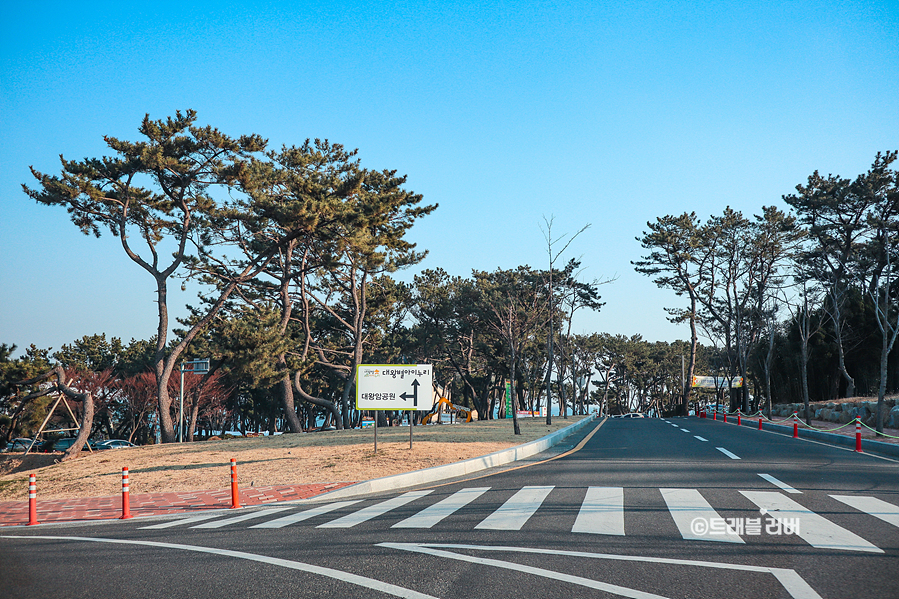 울산 가볼만한곳 울산 대왕암 출렁다리