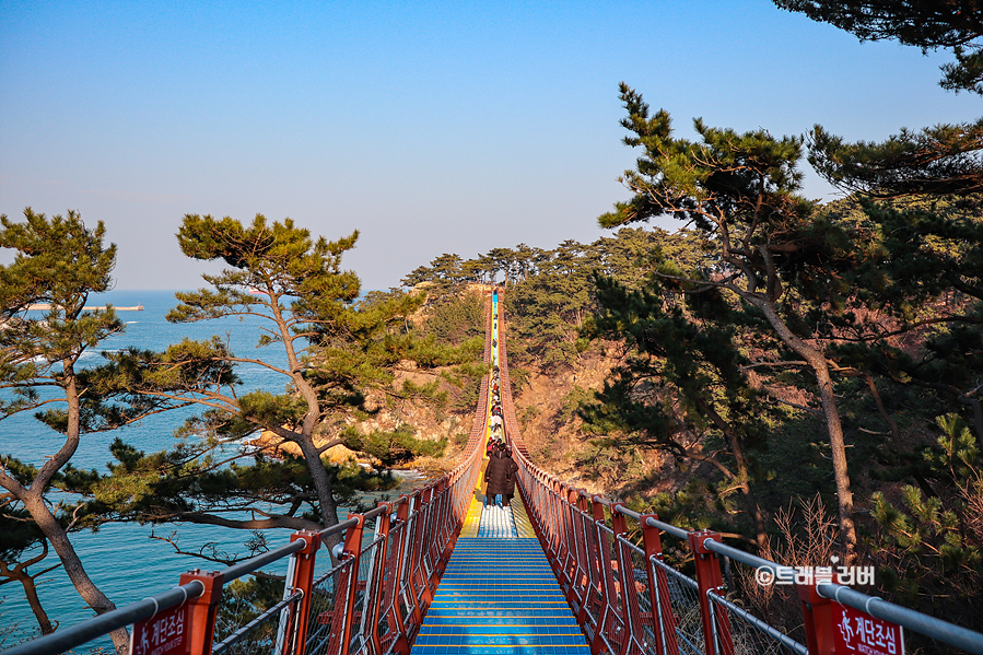 울산 가볼만한곳 울산 대왕암 출렁다리