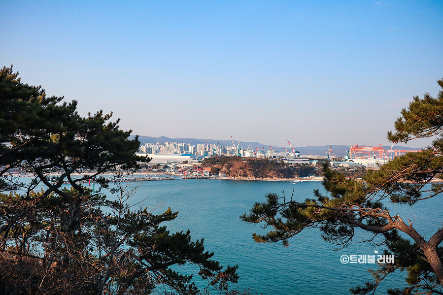 울산 가볼만한곳 울산 대왕암 출렁다리