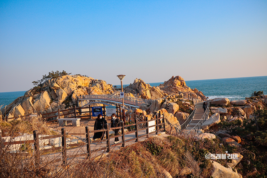 울산 가볼만한곳 울산 대왕암 출렁다리