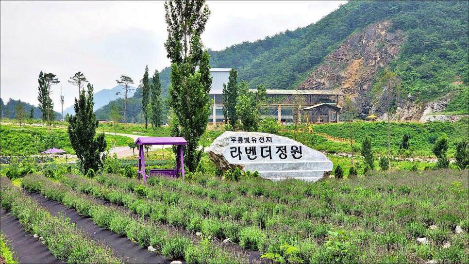 강원도 여행 코스 동해 무릉별유천지 & 삼척 환선굴 이사부사자공원!