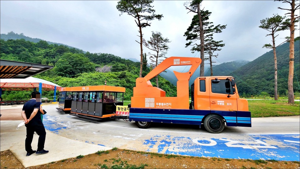 강원도 여행 코스 동해 무릉별유천지 & 삼척 환선굴 이사부사자공원!