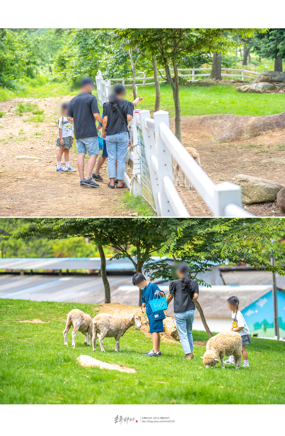 남해 가볼만한곳 국내 여름 여행지 추천 5곳