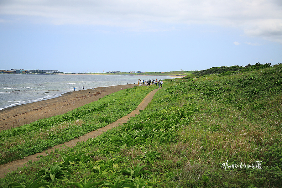 7월 8월 제주도 가볼만한곳 보고 먹고 사고 제주도 관광지 들리고~