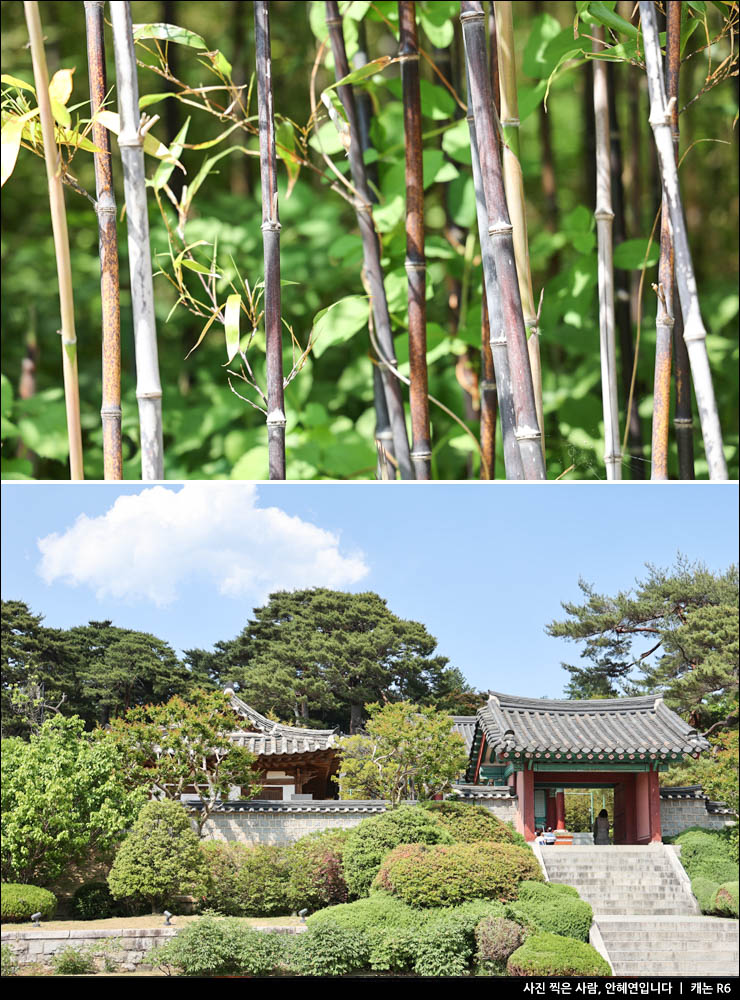 강릉 가볼만한곳 강릉 여행 볼거리 먹거리 8곳